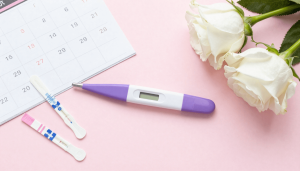 calculateur date ovulation we-mag.com